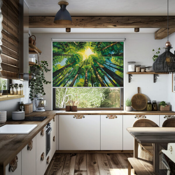 Landscape Rollerblinds 1009